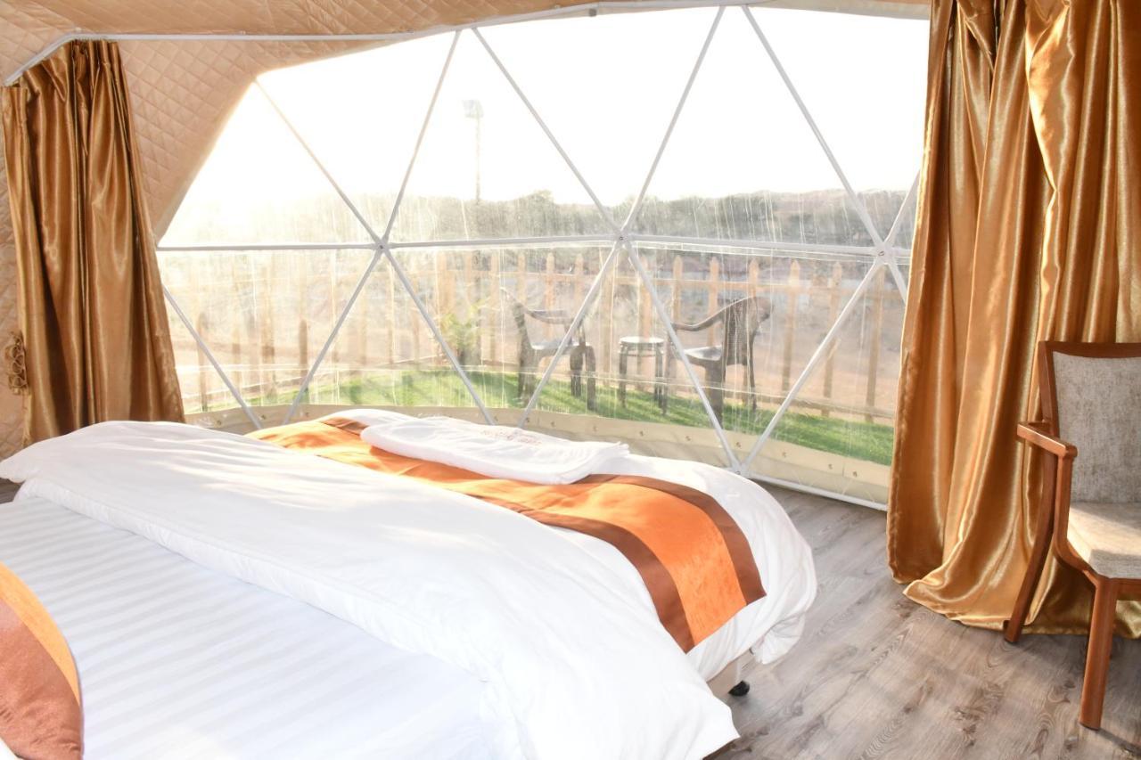 The Dunes Camping & Safari Rak Ras Al-Chajma Zewnętrze zdjęcie