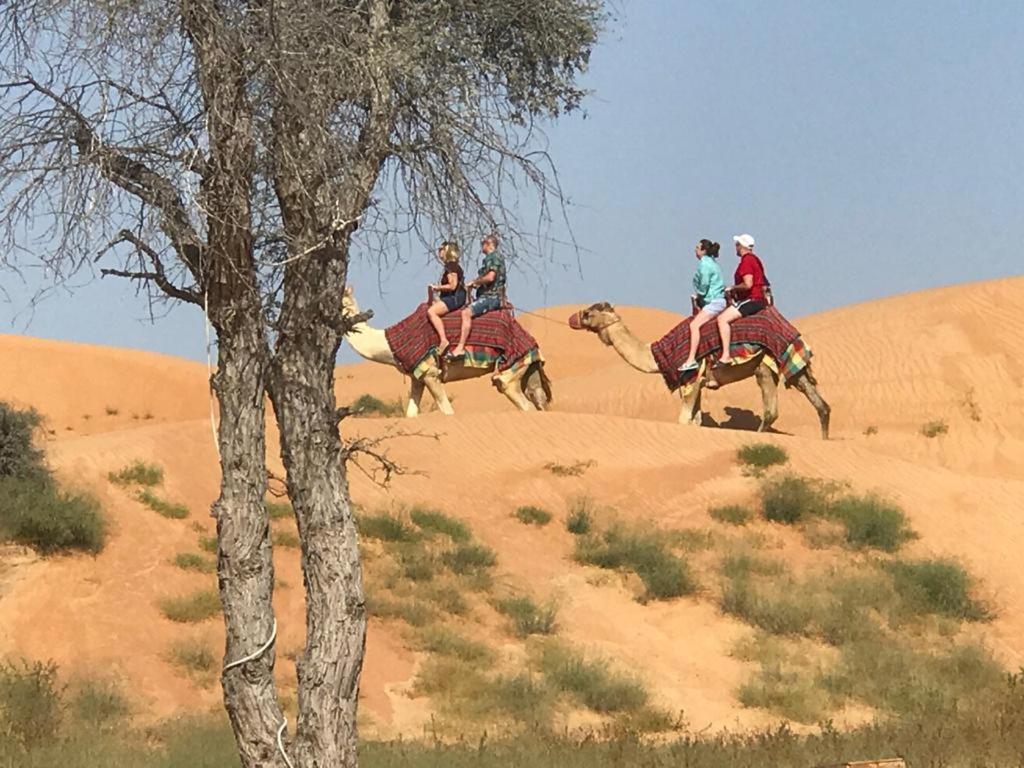 The Dunes Camping & Safari Rak Ras Al-Chajma Zewnętrze zdjęcie