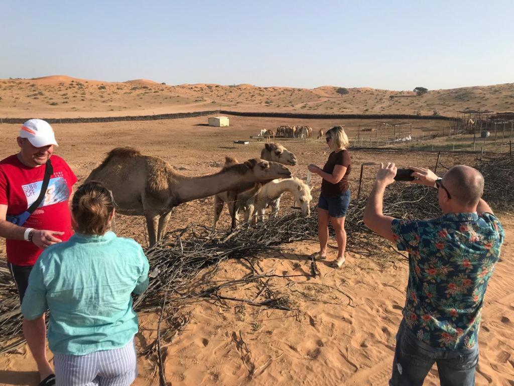 The Dunes Camping & Safari Rak Ras Al-Chajma Zewnętrze zdjęcie